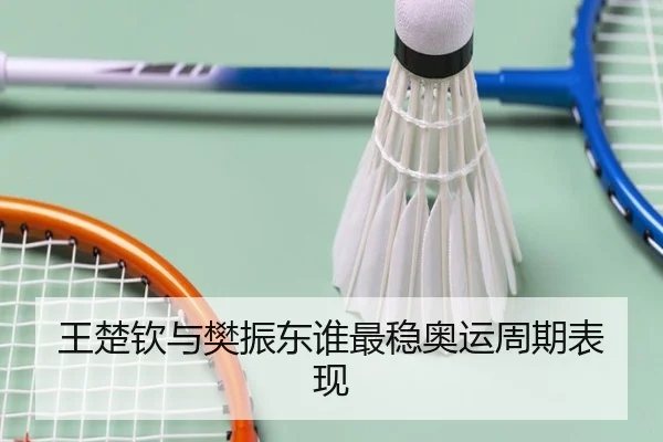 王楚钦与樊振东谁最稳奥运周期表现
